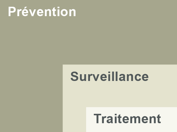 ipm-kernbereiche_fr